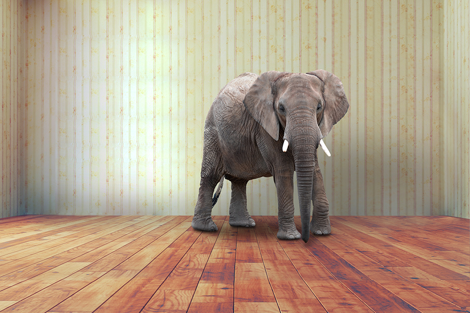Elephant in a room